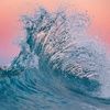 savannah_1324